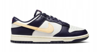 Nike Dunk Low Retro FV8106-181