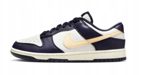 Nike Dunk Low Retro FV8106-181