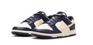 Nike Dunk Low Retro FV8106-181