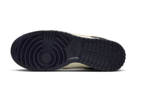 Nike Dunk Low Retro FV8106-181